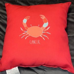 Zodiac (Cancer) Decorative Throw Pillow! 18X18